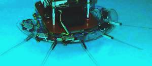 Tactile
                            Robot