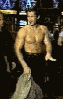 A photo of dodgy quality . . .