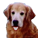 Ronolog icon