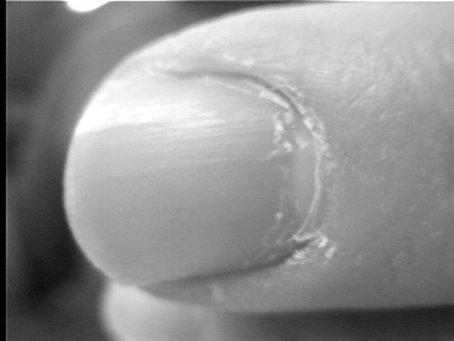 A picture the tested CCTV camera took of my free-held index finger tip