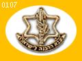Israeli Defence Force