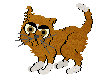 flames.gif (2709 bytes)