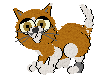 fpaddimai.gif (2646 bytes)