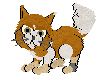 fperfecta.gif (2926 bytes)