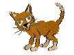 mnacho.gif (2411 bytes)