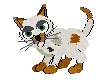 mpopcorn.gif (2711 bytes)