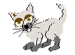 mscatteredlife.gif (2348 bytes)