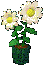 findflower.gif (1142 bytes)