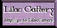 lc_banner1.jpg (3263 bytes)