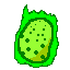 Poisonous Rock