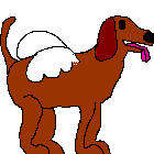 This guy is called Snoopdog. He can fly high in the sky. He is always friendly to humans, but in a fight, he can pack some punch!
