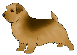 Arf!