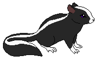 Bandit