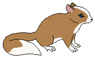 Foxi