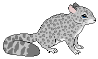 Spots