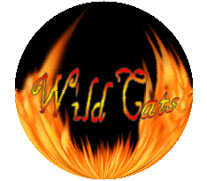 Adopt a wild cat? =^.^=