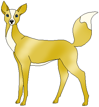 Shimer