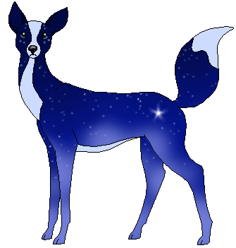 Starry Knight