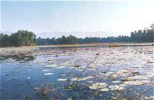 Ghoda Ghodi Lake