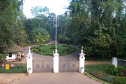 Peradeniya Botonical park