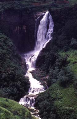 Sri Lanka Waterfall