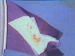 deze kroonvlag was vroeger de vlag ven de KNSM, waar ik heb gevaren, nu helpt hij U om naar de volgende bladzij te gaan. Of in dit geval naar mijn email: voor als U nog vragen heeft.