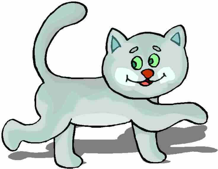 Cats