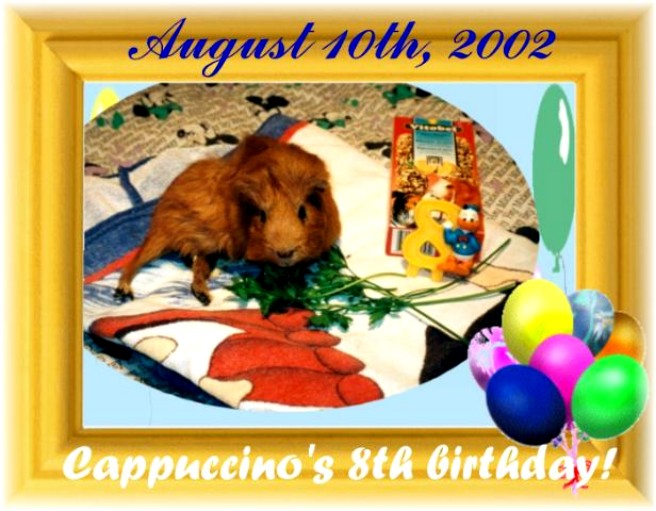 Cappuccino's 8th birthday! (August 10th, 2002)