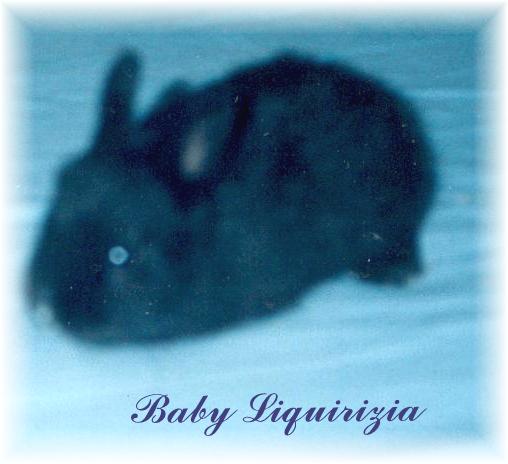 Baby Liquirizia! (July 1995)