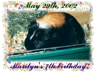 Marilyn on her 7th, birthday! (May 29th, 2002)