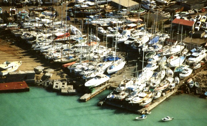 The yard on a sunny day.