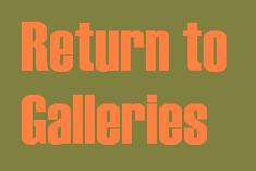 Return to NERO's Galleries