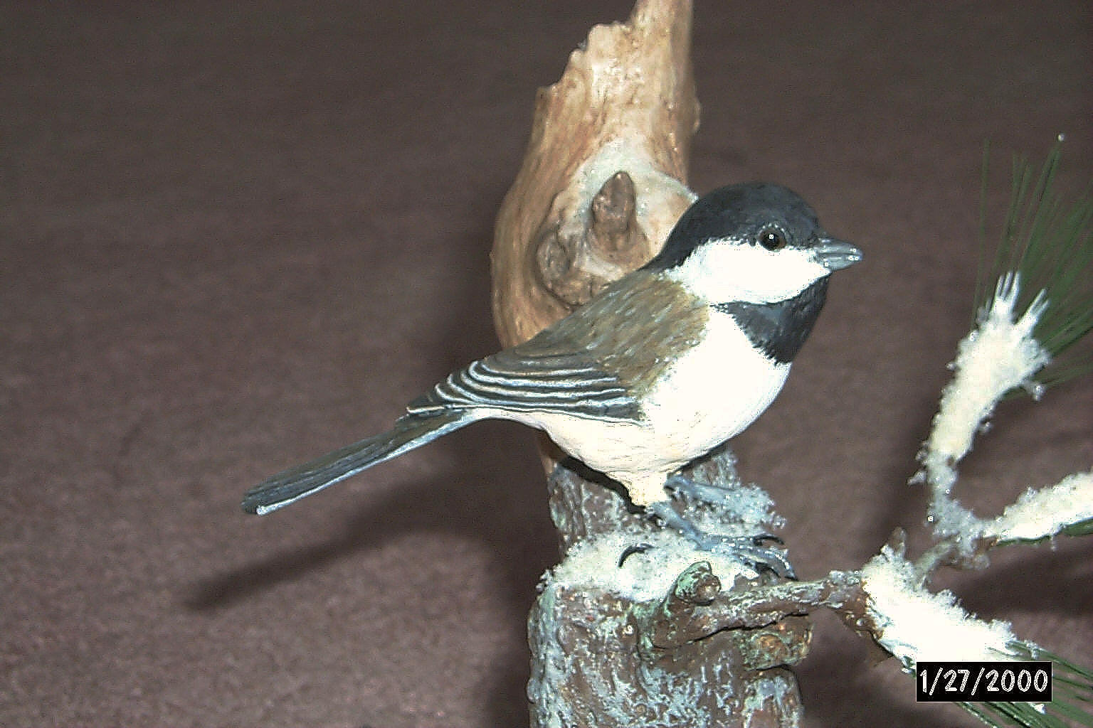 Blackcapped Chickadee carved from tupaloe