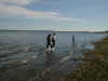 P6100030.jpg (193873 bytes)