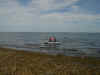 P6100033.jpg (199772 bytes)