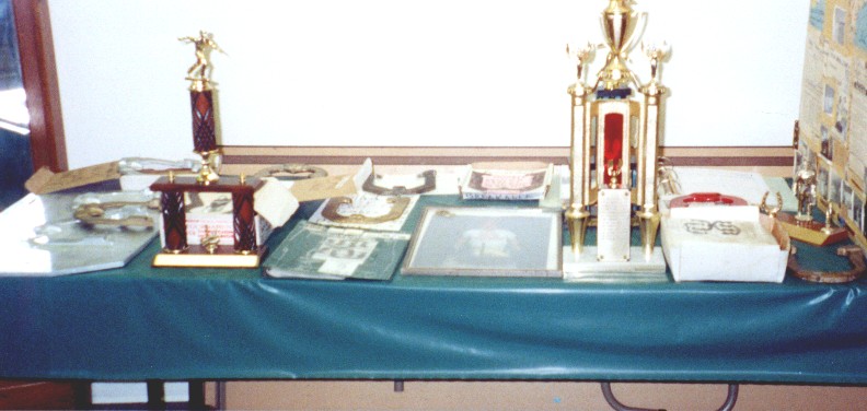 Example Image