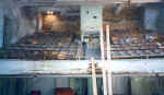 auditorium3.jpg (13735 bytes)