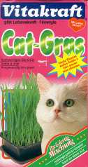 gato.jpg (7506 bytes)