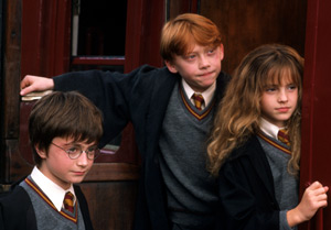 Harry and his friends
