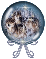 wolfpair in forest
