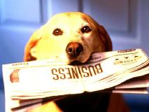 dog with newspaper in mouth