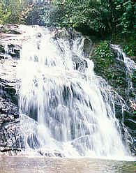 Fresh water falling in Phang-Nga