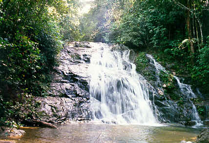 Waterfall in Phang Nga Province