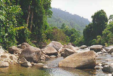 Water and Forest in Trang Province