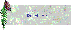 Fisheries Photo Gallery