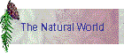 The Natural World
