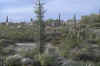 cc3.jpg (61054 bytes)