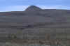 pup1.jpg (120035 bytes)