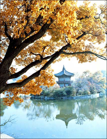 Welcome to Korea!