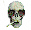 /user/skull.gif